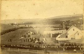 Southwest Margaree Picnic