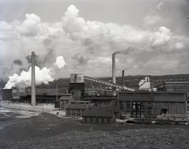 Coke Ovens, DOSCO